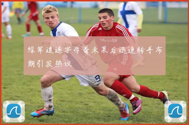 绿军追逐字母哥未果后迅速转手布朗引发热议