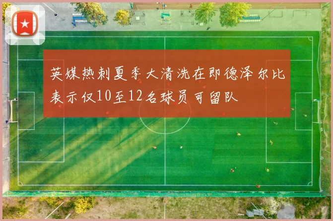 英媒热刺夏季大清洗在即德泽尔比表示仅10至12名球员可留队